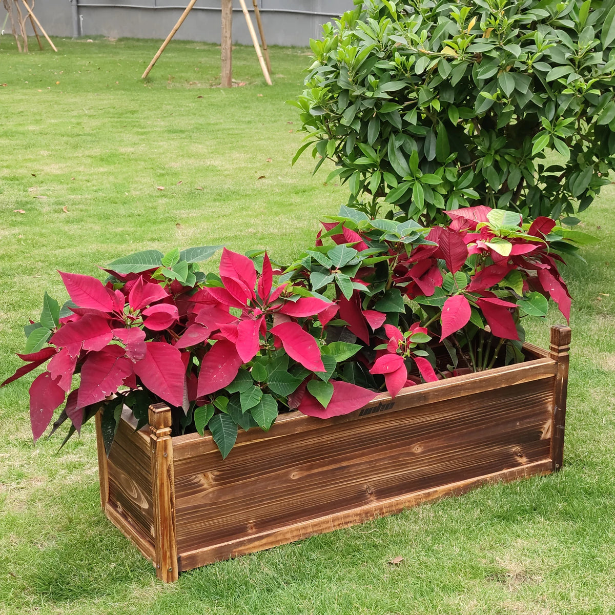 Wooden Window Planter Box For Outdoor Flower And Vegetable Gardening