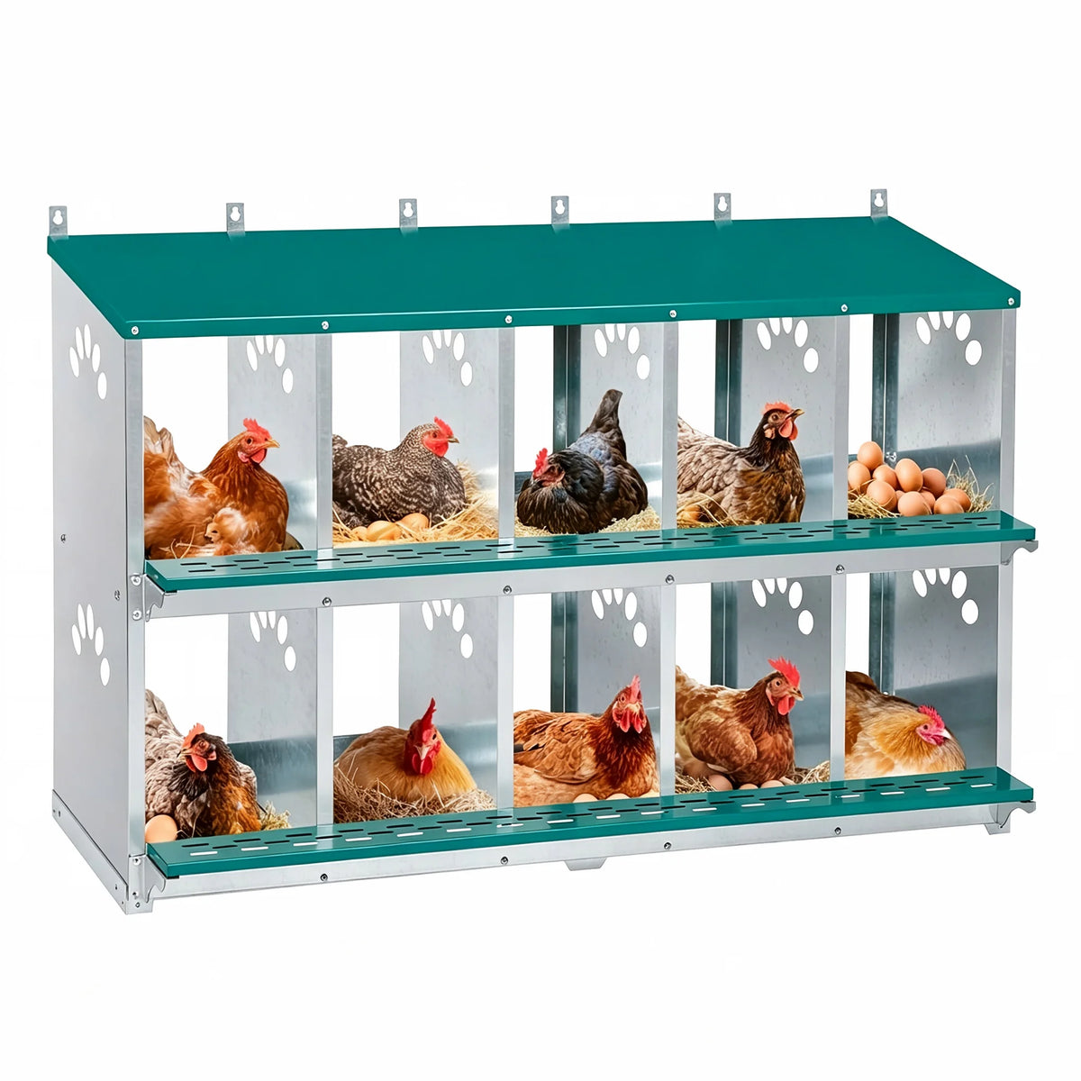 Automatic Roll Away Chicken Nesting Box For Laying Hens