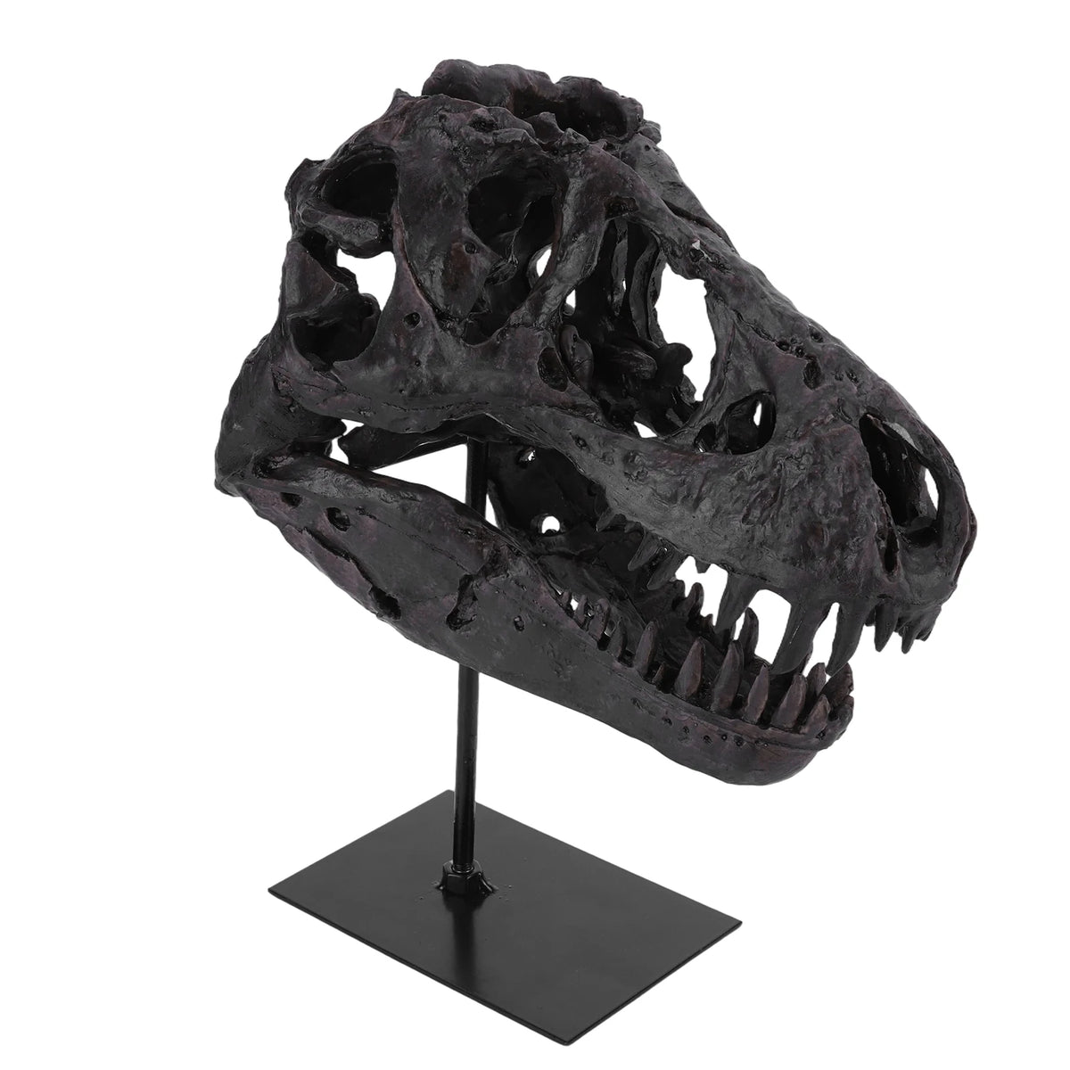 Tyrannosaurus Rex Fossil Skull Figurine Resin Home Office Decor
