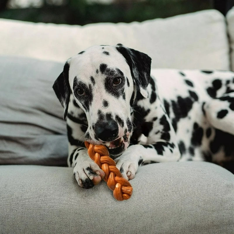 Bragged Stick Dog Chew Toy For Light And Moderate Chewers