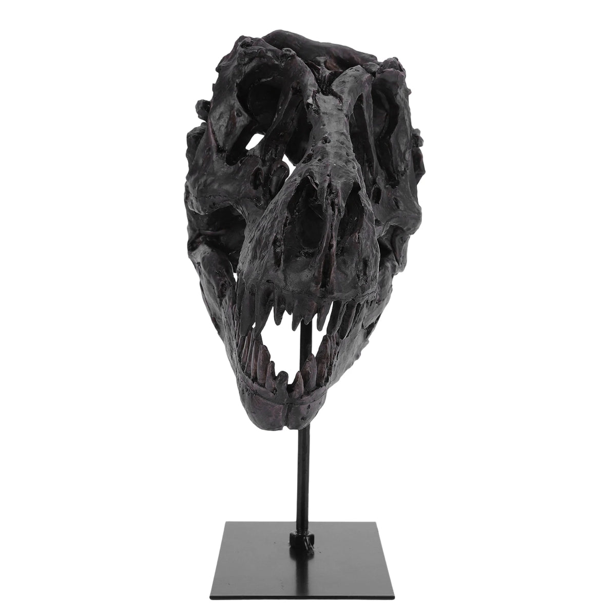 Tyrannosaurus Rex Fossil Skull Figurine Resin Home Office Decor