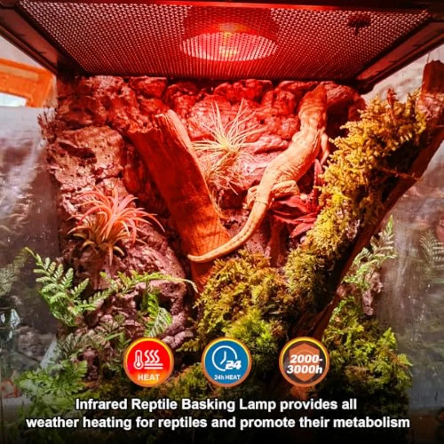 Infrared Heat Lamp Bulbs for Reptiles Poultry and Brooders