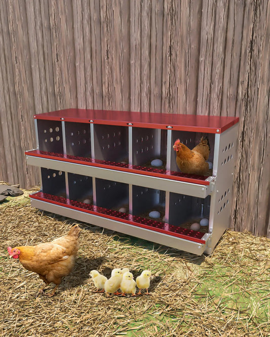 Automatic Roll Away Chicken Nesting Box For Laying Hens