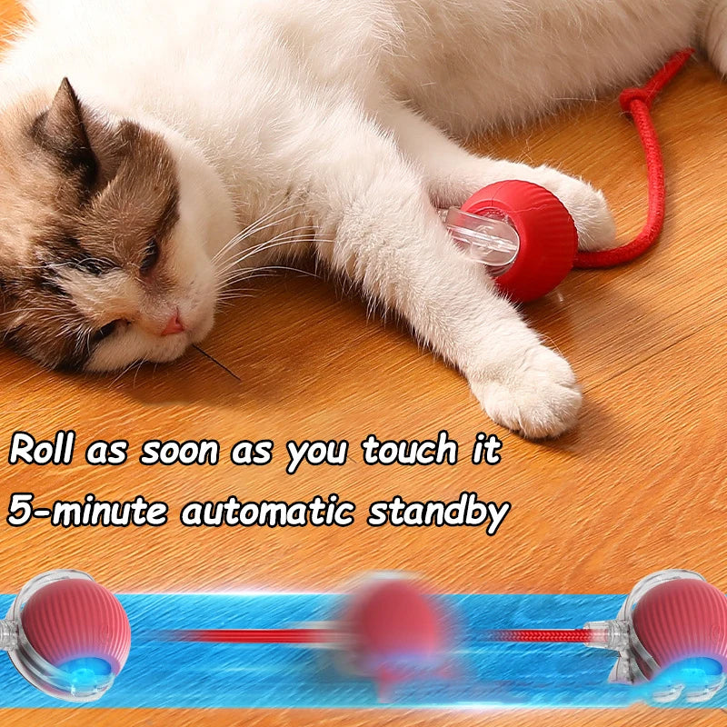 Automatic Rechargeable Rolling Ball Pet Toy For Cats And Dogs