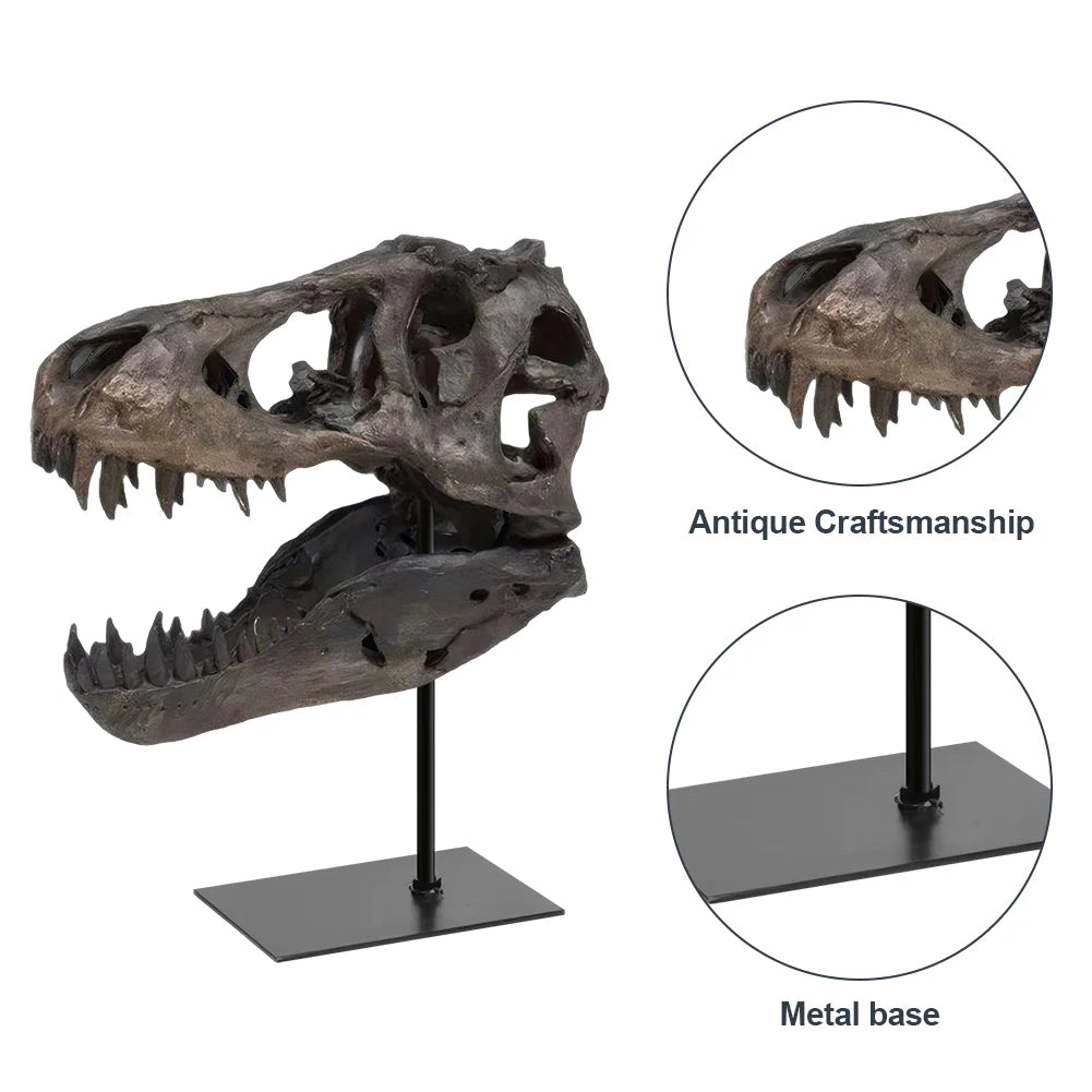 Tyrannosaurus Rex Fossil Skull Resin Replica Statue With Display Bracket