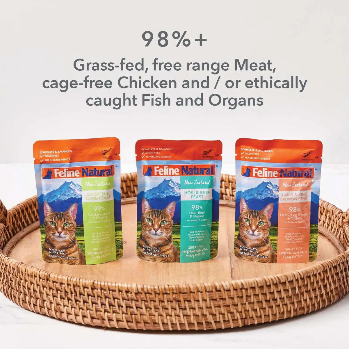 Grain Free Salmon Beef Chicken Pate Wet Cat Food Variety
