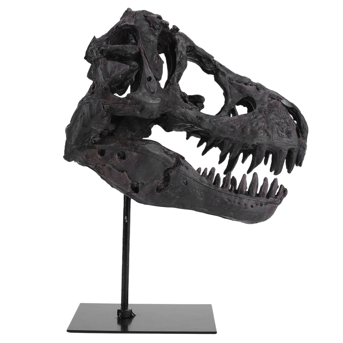 Tyrannosaurus Rex Fossil Skull Resin Replica Statue With Display Bracket
