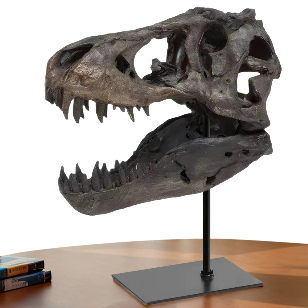 Tyrannosaurus Rex Fossil Skull Resin Replica Statue With Display Bracket
