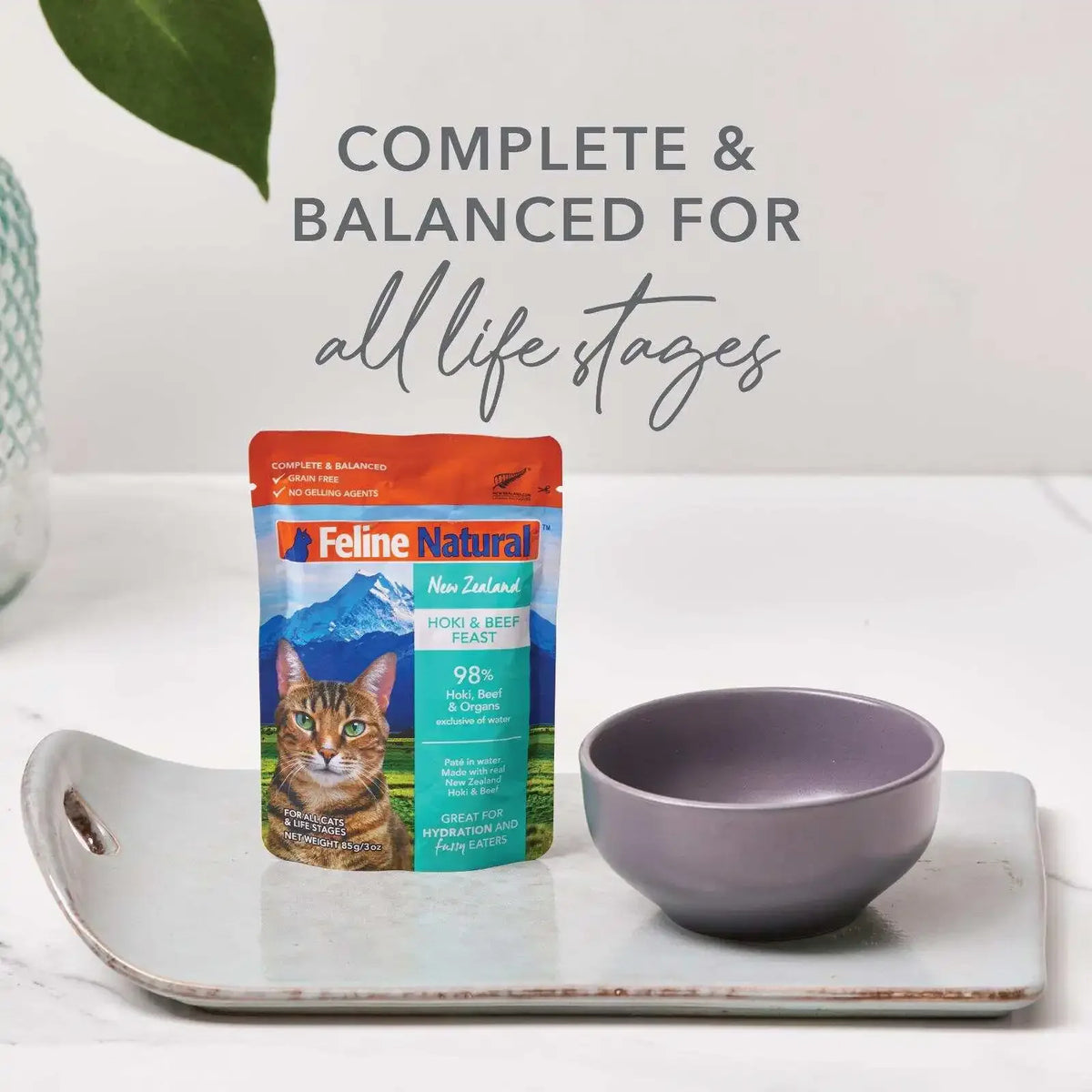 Grain Free Salmon Beef Chicken Pate Wet Cat Food Variety