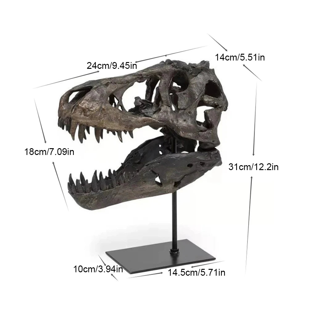 Tyrannosaurus Rex Fossil Skull Resin Replica Statue With Display Bracket