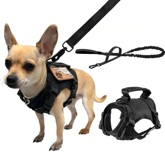 Petravel Adjustable Harness And Leash Set For Dogs And Cats