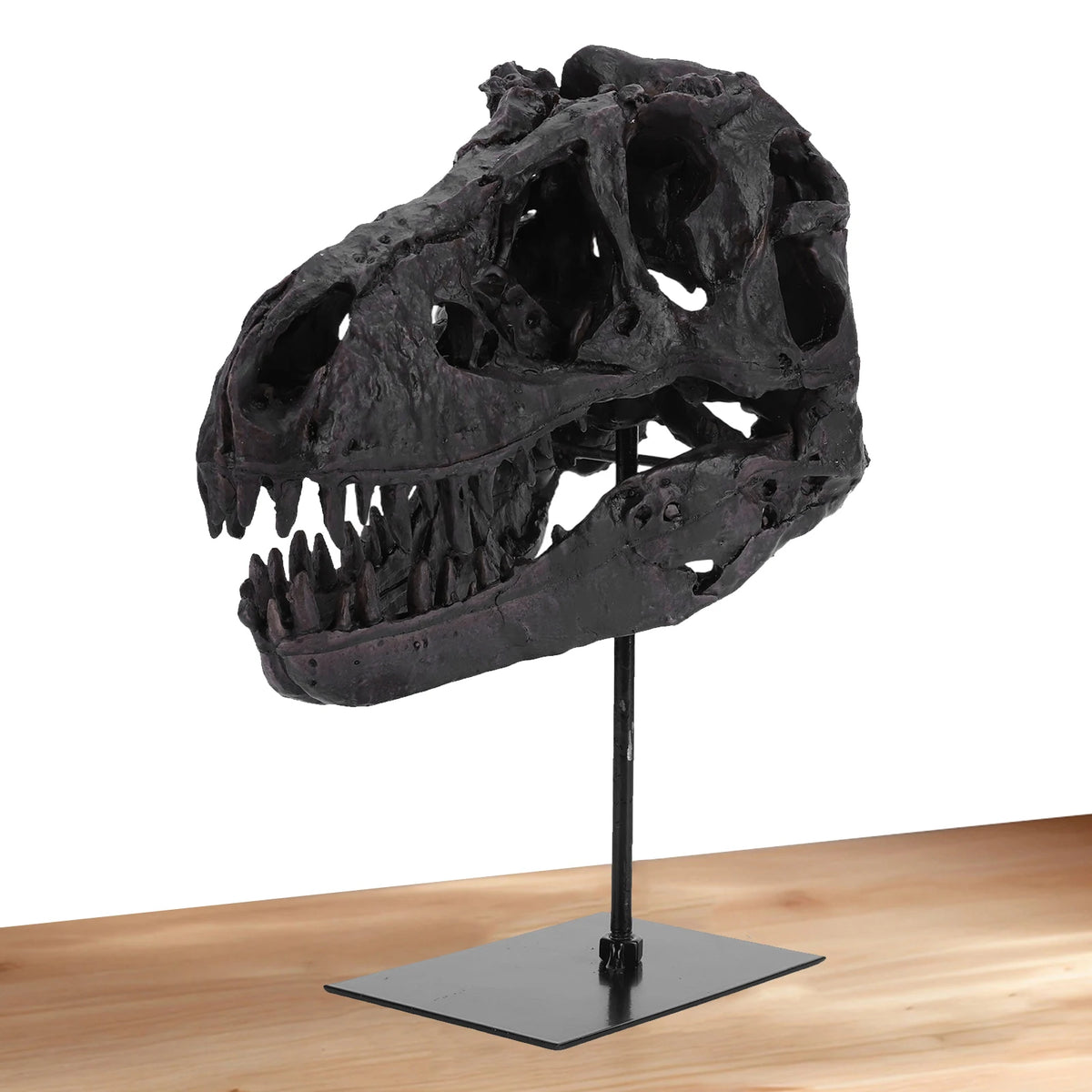 Tyrannosaurus Rex Fossil Skull Figurine Resin Home Office Decor
