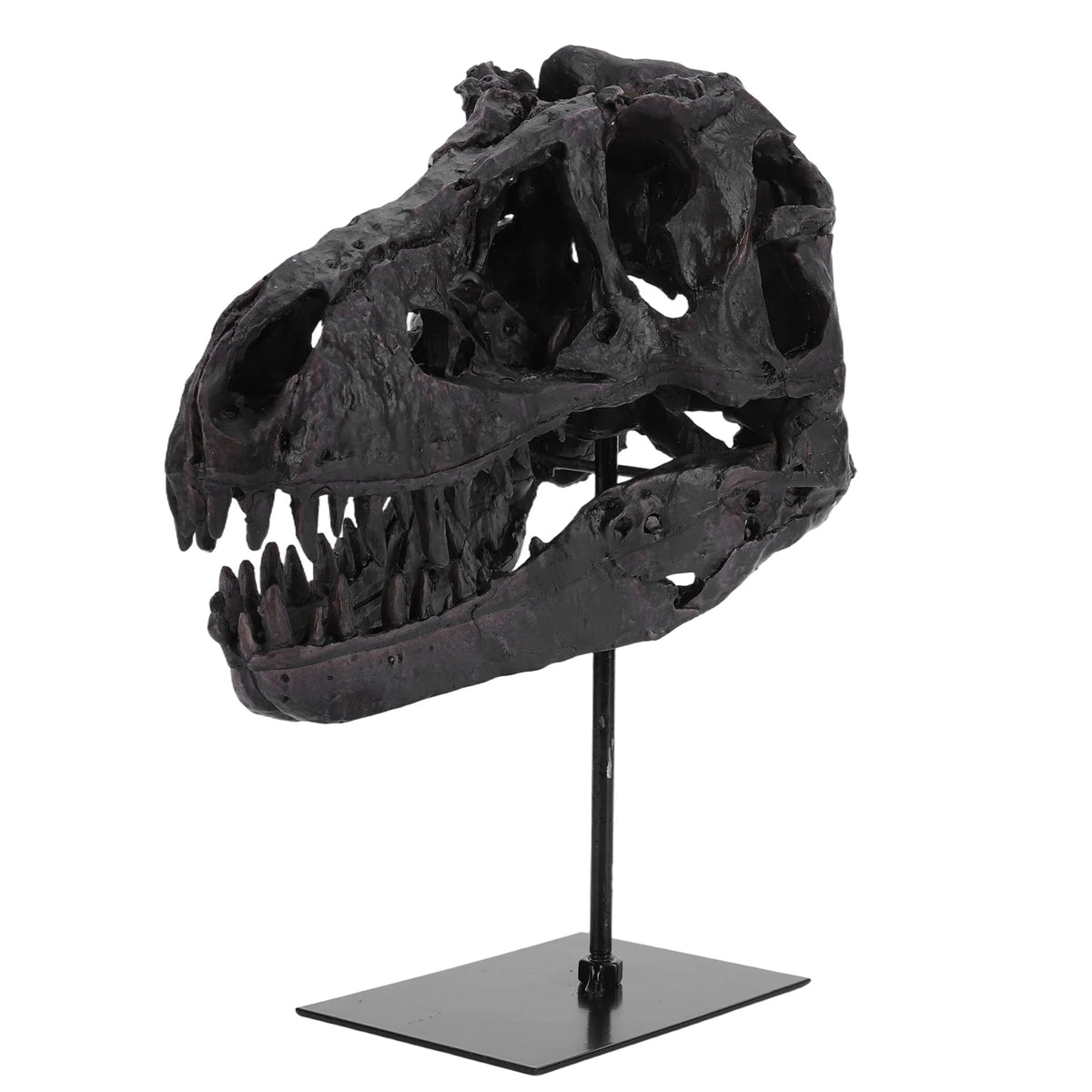 Tyrannosaurus Rex Fossil Skull Figurine Resin Home Office Decor