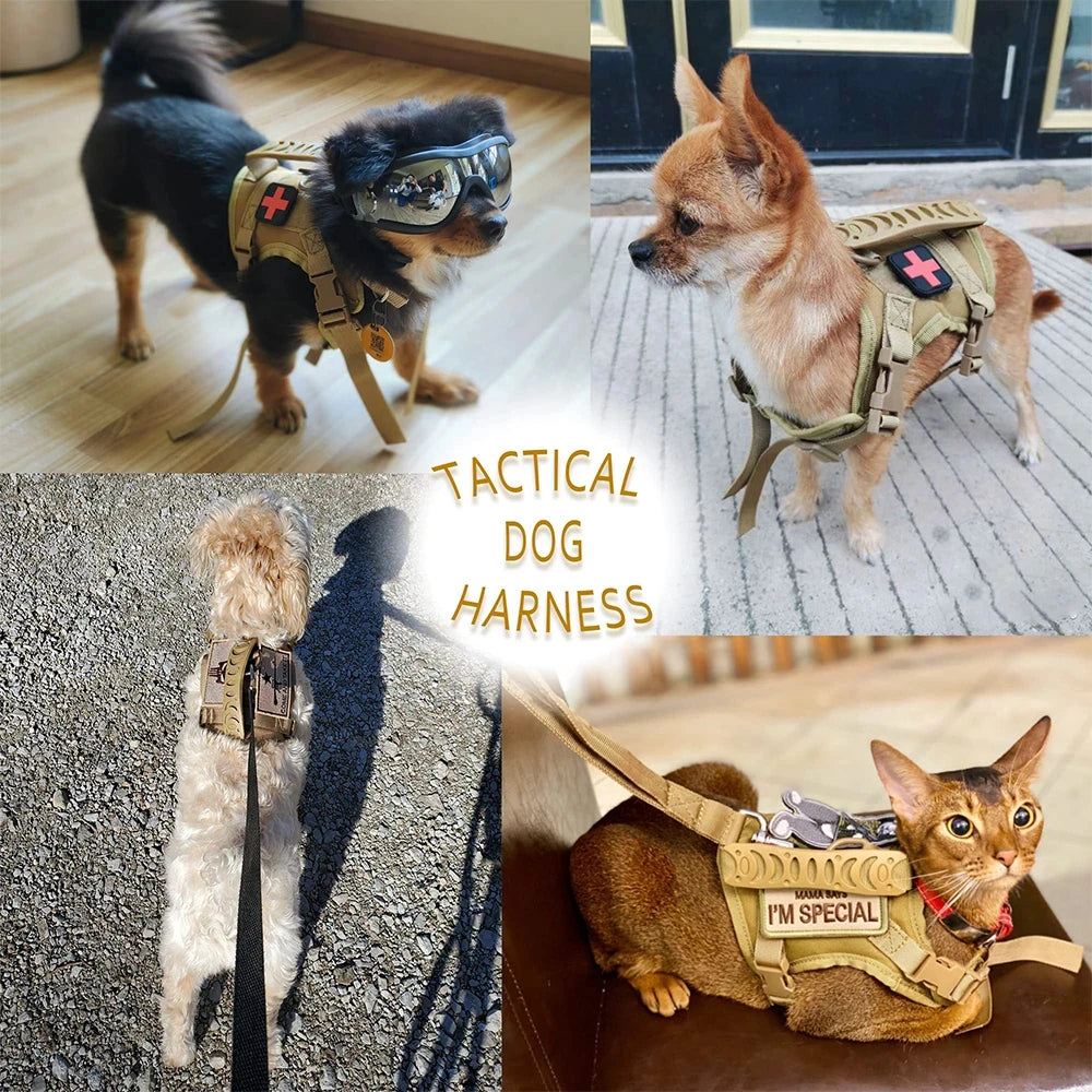 Petravel Adjustable Harness And Leash Set For Dogs And Cats