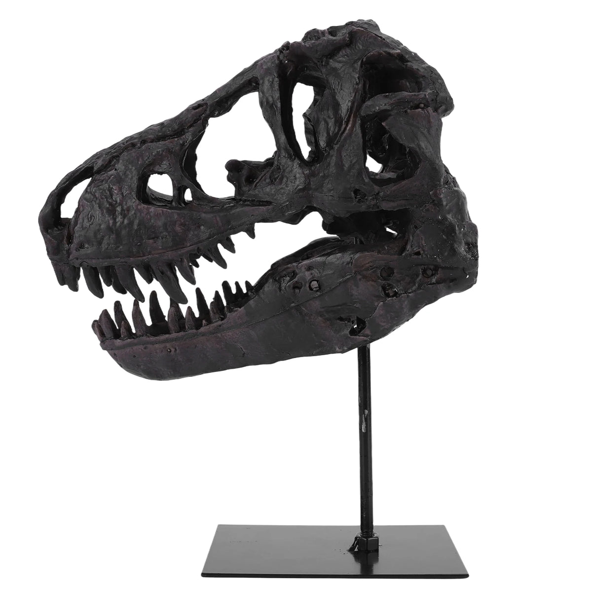 Tyrannosaurus Rex Fossil Skull Resin Replica Statue With Display Bracket
