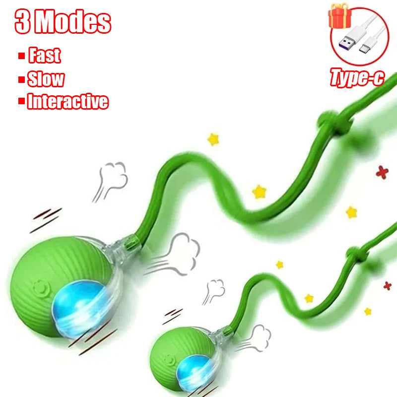 Automatic Rechargeable Rolling Ball Pet Toy For Cats And Dogs