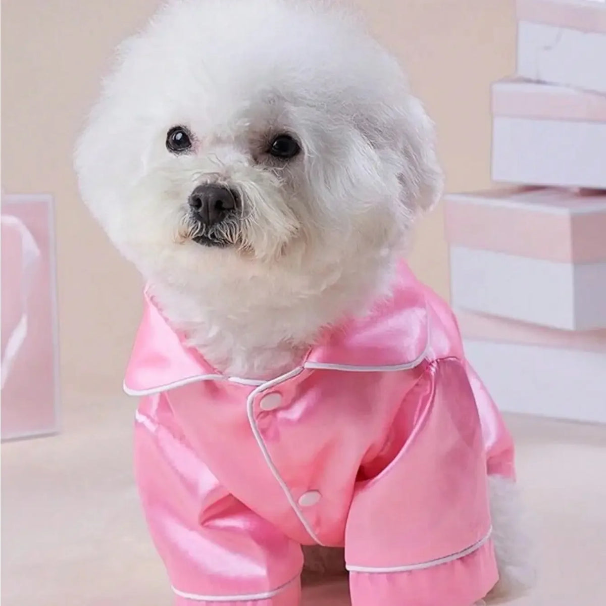 Button Closure Pet Pajamas for Small Dogs and Cats